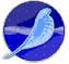 SeaMonkey 1.1.9pl