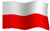 Polska wersja jezykowa